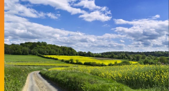 Agriculture and Farming Newsletter – Spring 2025