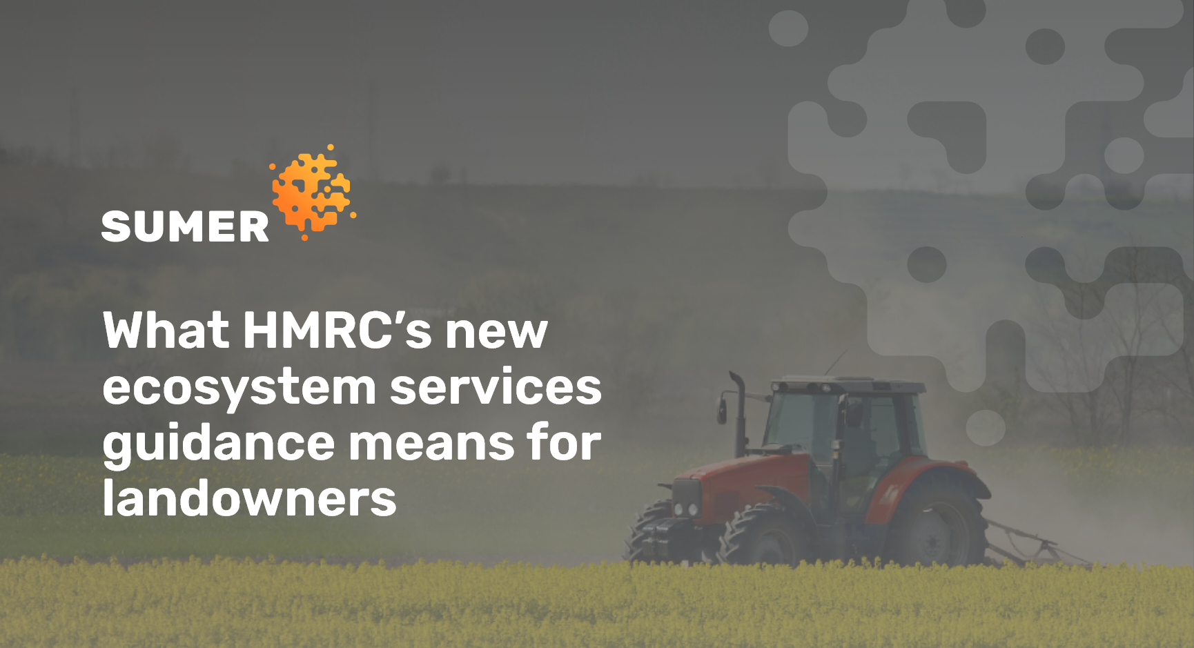 What HMRC’s new ecosystem services guidance means for landowners