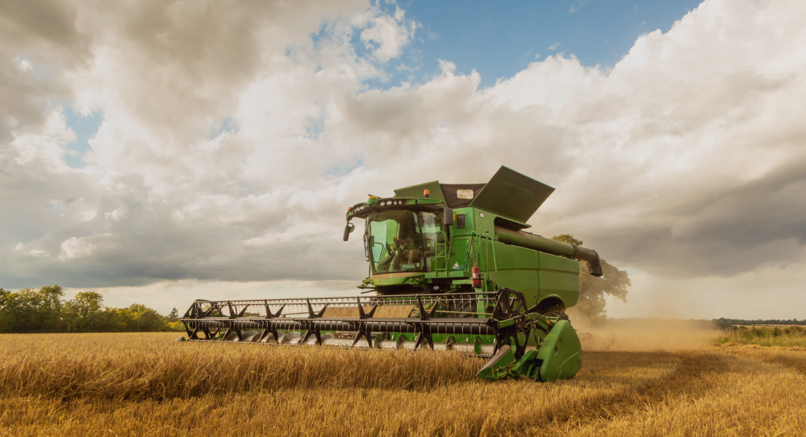 Harvest 2026: what this season tells us about resilience