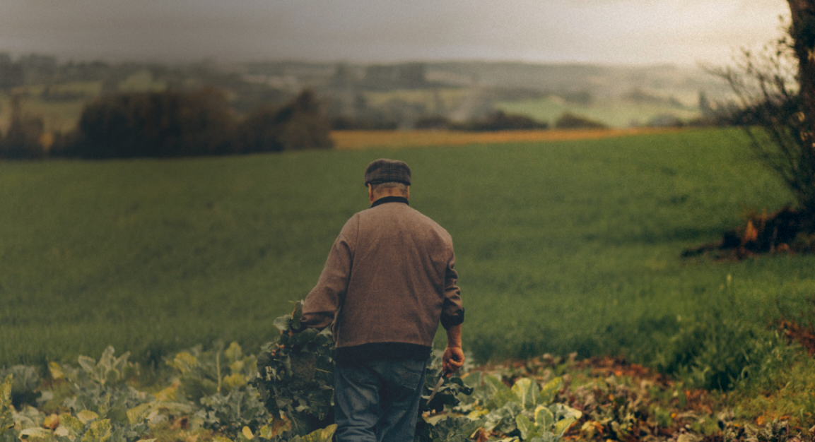 Sumer Agriculture Newsletter: Autumn 2026